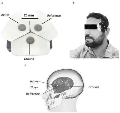 Frontiers | Motor-cognitive coupling is impaired in children Frontiers | Motor-cognitive coupling is impaired in children